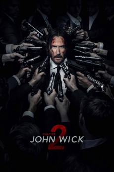 John Wick: Chapter 2 cover image