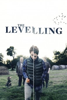 The Levelling cover image