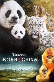 Born in China cover image