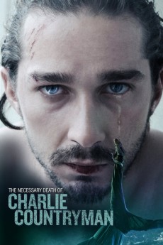 Charlie Countryman cover image