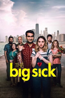 The Big Sick cover image