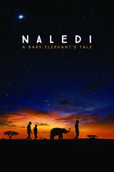 Naledi: A Baby Elephant's Tale cover image