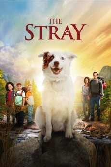 The Stray cover image