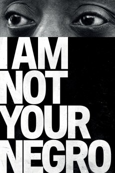 I Am Not Your Negro cover image