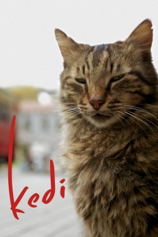 Kedi cover image