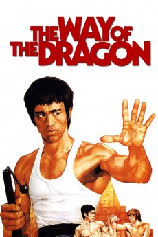 The Way of the Dragon cover image