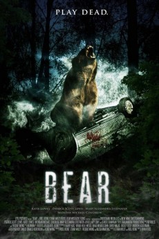 Bear cover image