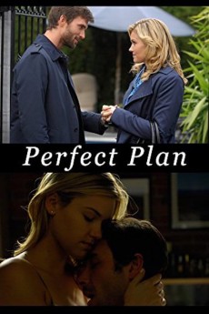 Perfect Plan cover image