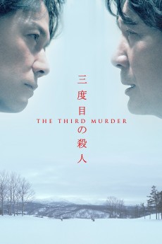 The Third Murder cover image