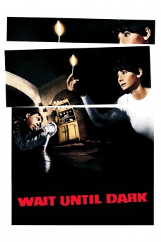 Wait Until Dark cover image