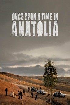 Once Upon a Time in Anatolia cover image