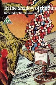 In the Shadow of the Sun cover image