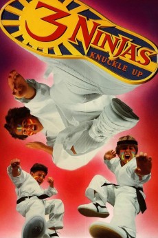 3 Ninjas Knuckle Up cover image