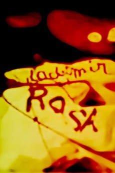 Vladimir et Rosa cover image