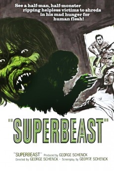 Superbeast cover image