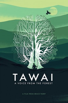 Tawai: A Voice from the Forest cover image