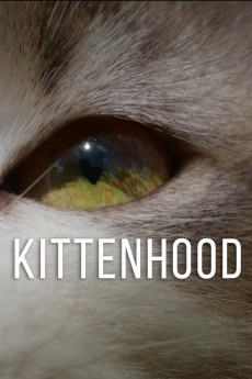 Kittenhood cover image
