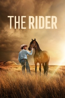 The Rider cover image