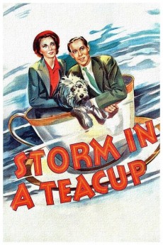 Storm in a Teacup cover image