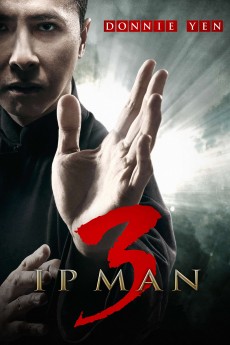 Ip Man 3 cover image
