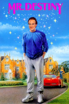 Mr. Destiny cover image