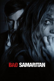 Bad Samaritan cover image