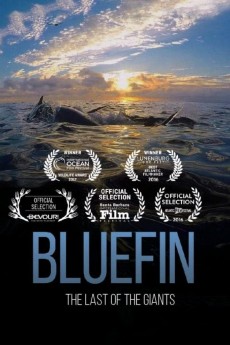 Bluefin cover image