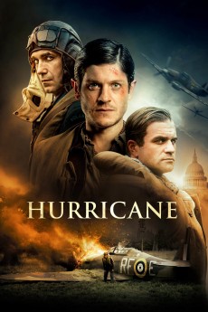 Hurricane cover image