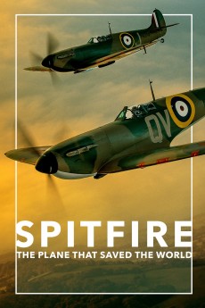 Spitfire cover image