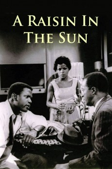 A Raisin in the Sun cover image