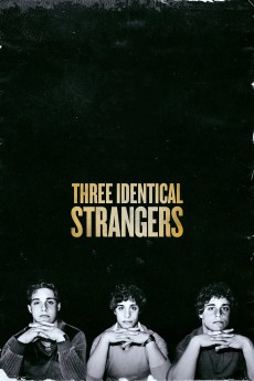 Three Identical Strangers cover image