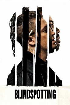 Blindspotting cover image