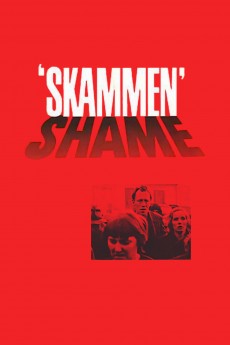 Shame cover image